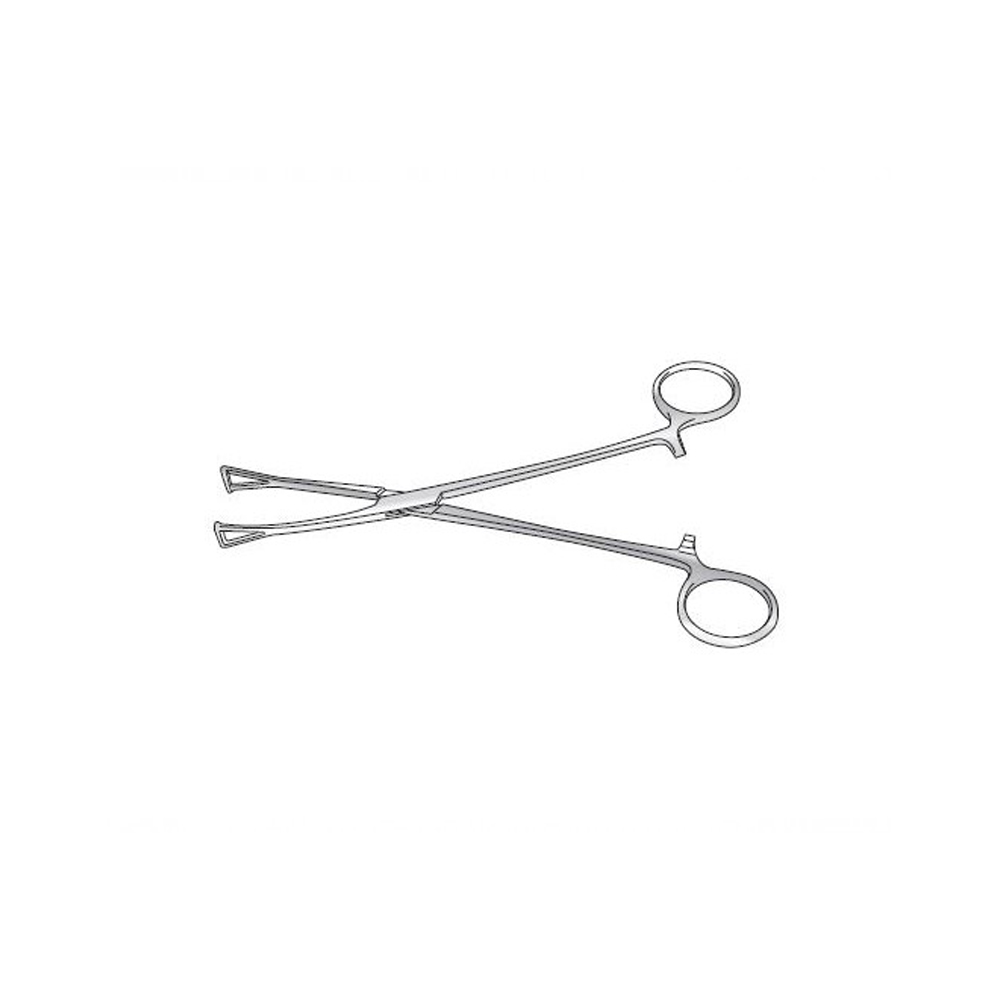 DUVAL LUNG GRASPING FORCEPS