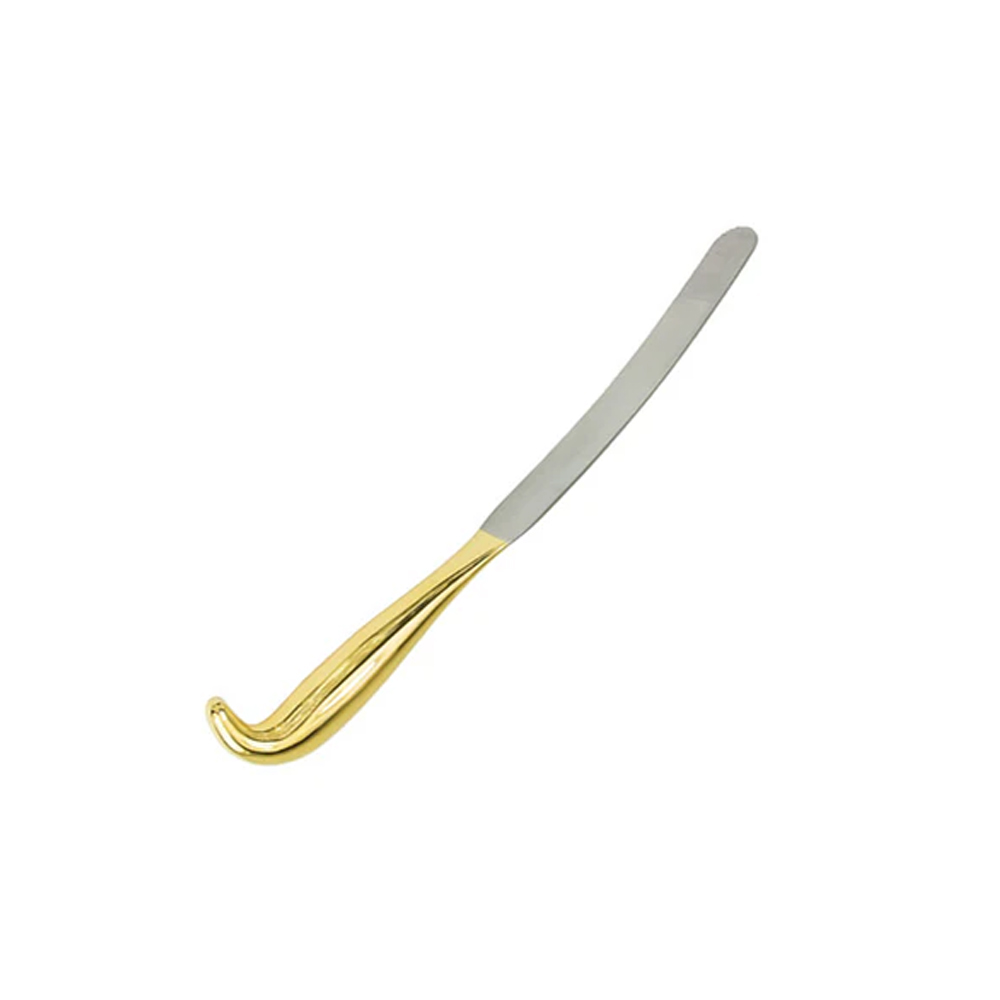 Padgett Spatula Breast  Dissector